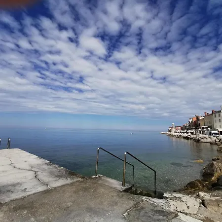 Apartment Niko Piran