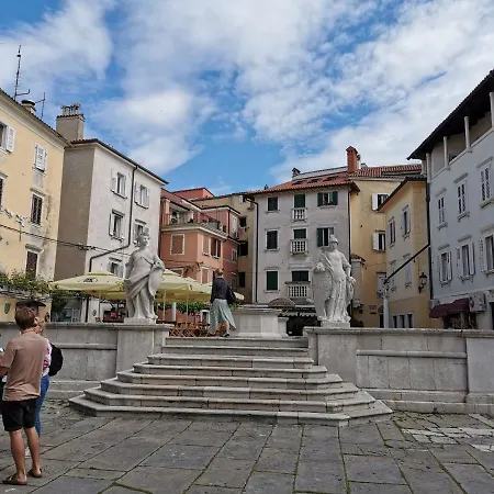 Apartment Niko Piran